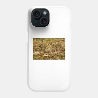 sbs lapwing nest Phone Case