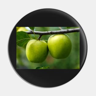 Green apples on branch Pin