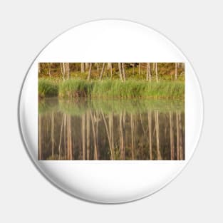 Forest reflecting to small lake at summer morning Pin