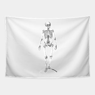 Skeleton Tapestry