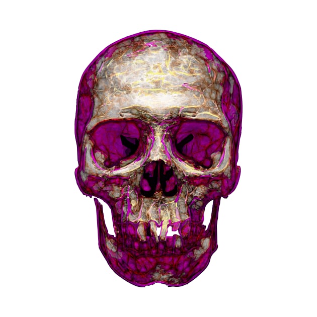 Purple And Gold Skull by crunchysqueak