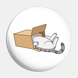 Cat in the box Pin