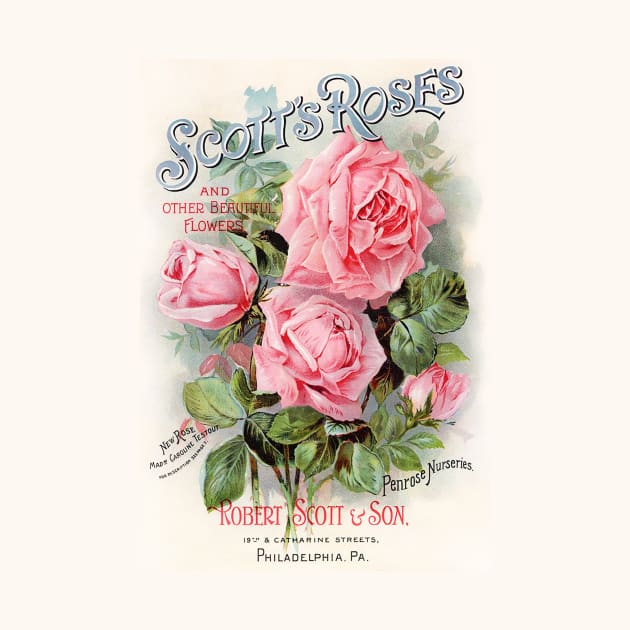 Scott's Roses, Seed Catalogue by WAITE-SMITH VINTAGE ART