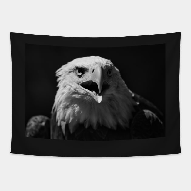 Bald Eagle Portrait 1 Tapestry by SHWILDLIFE