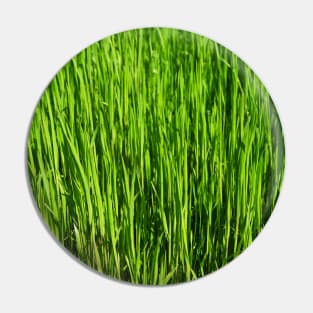 Grass pattern Pin