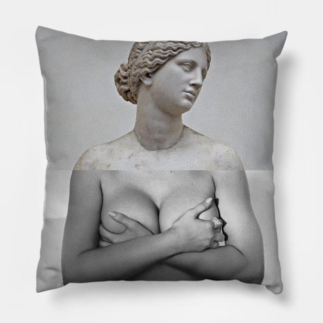 Aphrodite X @kyliejenner Pillow by amircheniti