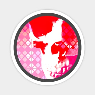 Spotlight Skull Magnet