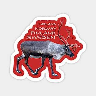 Lapland Magnet