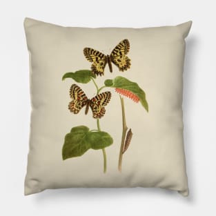 Southern Festoons Pillow