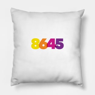 Eighty-six Forty-five Pillow