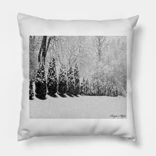 Snow Storm Pillow