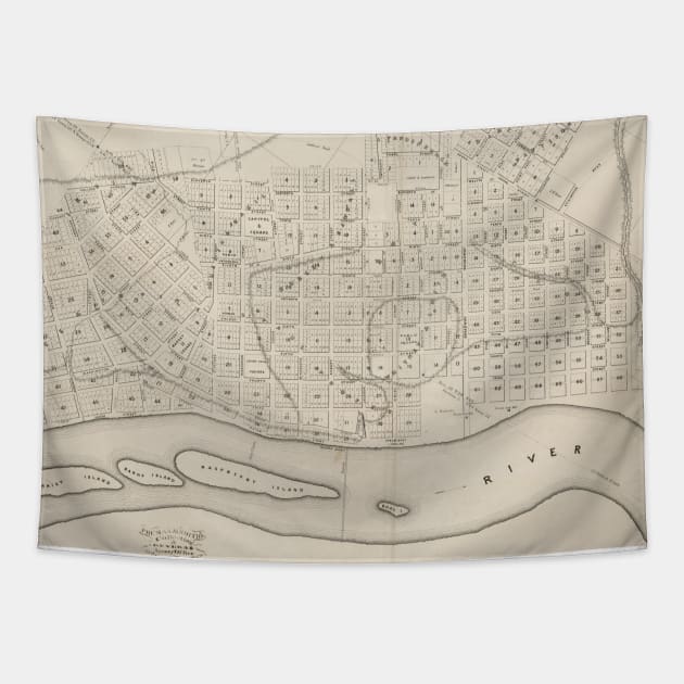 Vintage Map of St. Paul Minnesota (1860) Tapestry by Bravuramedia