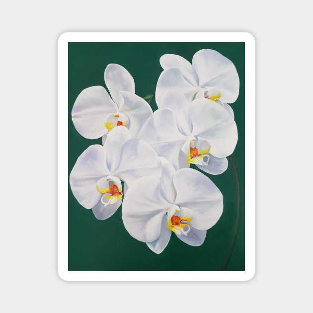 Phaelenopsis Moth Orchid Painting On Green Orchid Magnet Teepublic Au