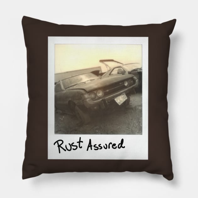 Rust Assured Pillow by Thread Dazzle