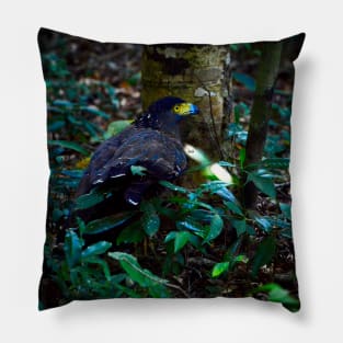 Eagle II / Swiss Artwork Photography Pillow