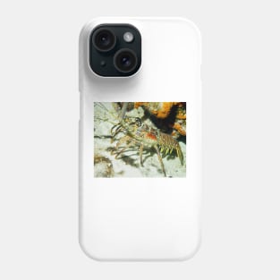 Caribbean Reef Lobster showing its beautiful colors Phone Case