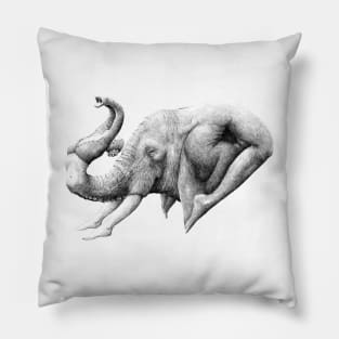 fant Pillow