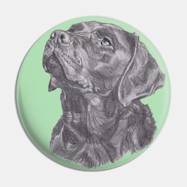 Classic Labrador Retriever Dog Profile Drawing Pin by lalanny