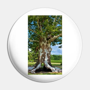 White Bark Tree Pin