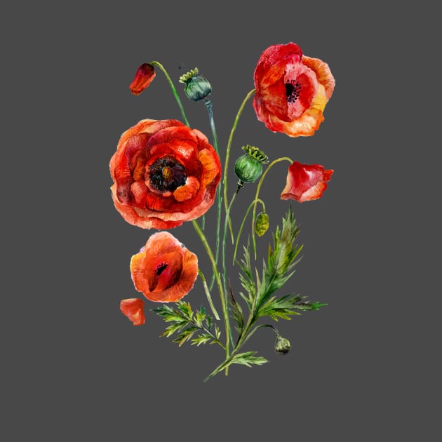 Poppies by MajdaLoo