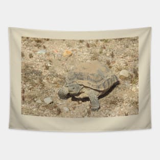 Desert Tortoise, Turtle, Reptiles, Wildlife, Reptilian, Gifts Tapestry