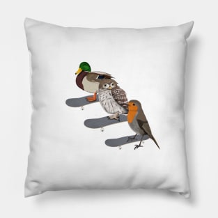 Mallard Owl Robin Bird Skateboard Birdwatcher Animal Biologist Pillow