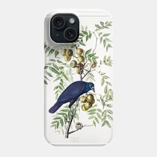 American Crow from Birds of America (1827) Phone Case