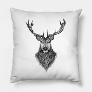 the highland stag Pillow