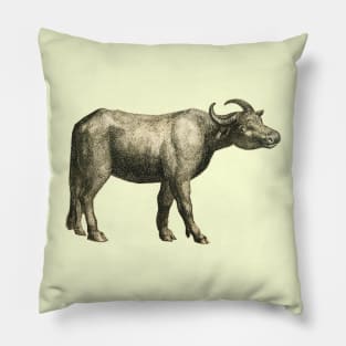 Vintage drawing Buffalo Pillow