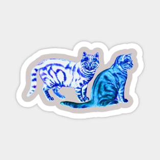 Groovy Cats Magnet