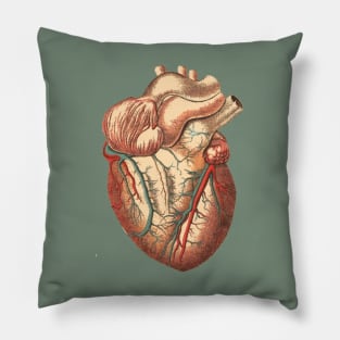 dark academia Halloween Zombie Biology Science Medical School Anatomy Heart Pillow