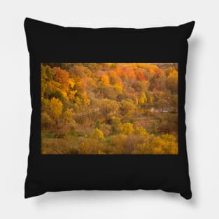 Autumn Pillow