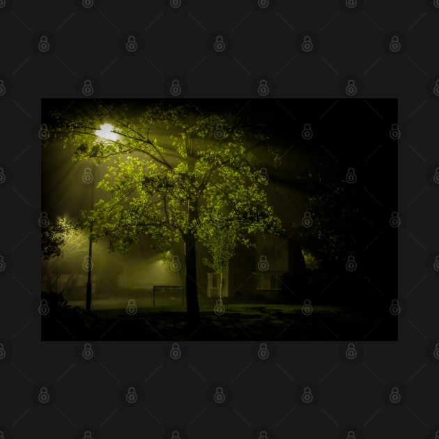 Midnight Suburban Mist by axp7884