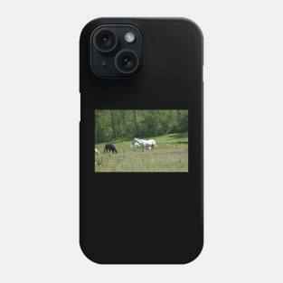 Wild Horse Herd Phone Case