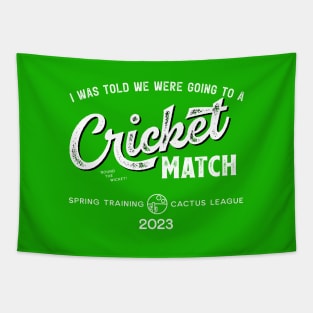 Cricket Match Spring Training Tapestry