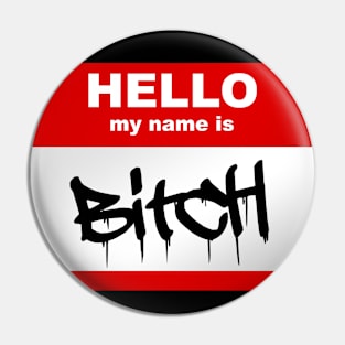 Hello my name is Bitch Pin