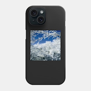 Beautiful Frosty Snow Covered Trees Phone Case