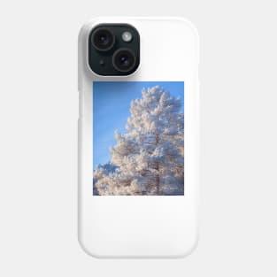 Hoarfrost pine tree Phone Case