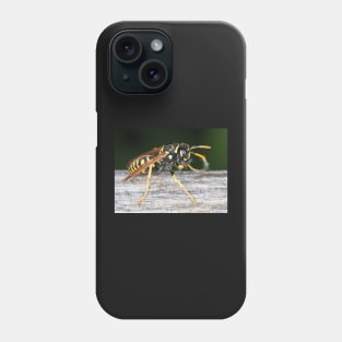 Paper wasp (Polistes dominula) gathering wooden material Phone Case