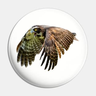 Spectacled owl in flight Pin