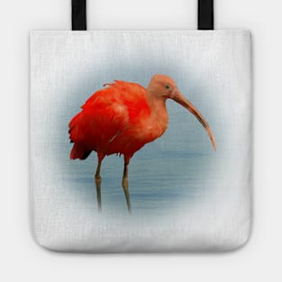 Scarlet ibis Tote