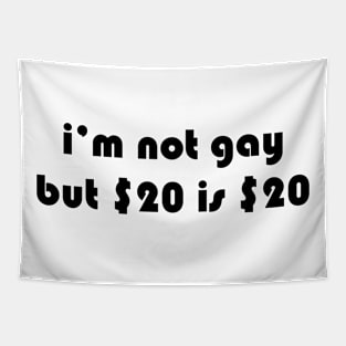 i’m not gay but $20 is $20 Tapestry