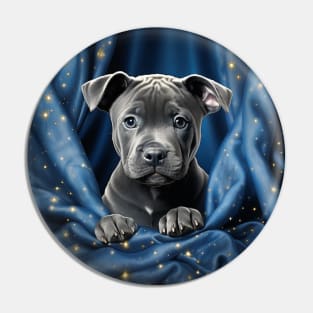 Blue nose Staffy puppy Pin