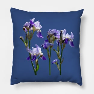 Irises - Group of Purple Irises Pillow