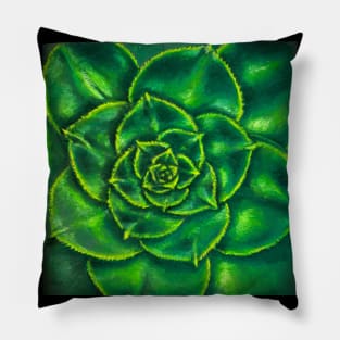 Echeveria Green Prince Pillow