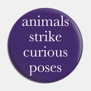 Animals strike curious poses Pin