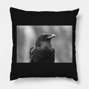 raven Pillow