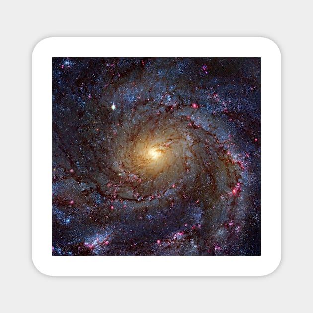 Pinwheel Galaxy, HST image (C030/0050) Magnet by SciencePhoto