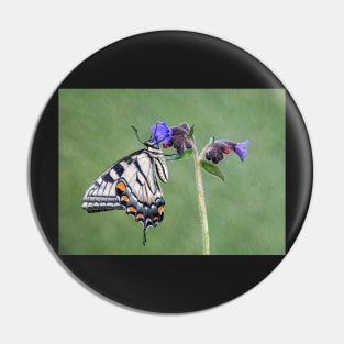 Tiger Swallowtail Butterfly on Lungwort flower Pin