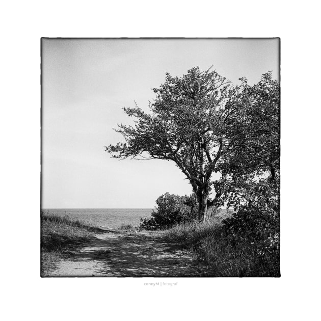 Beach view  towards the Baltic Sea. by connyM-Sweden